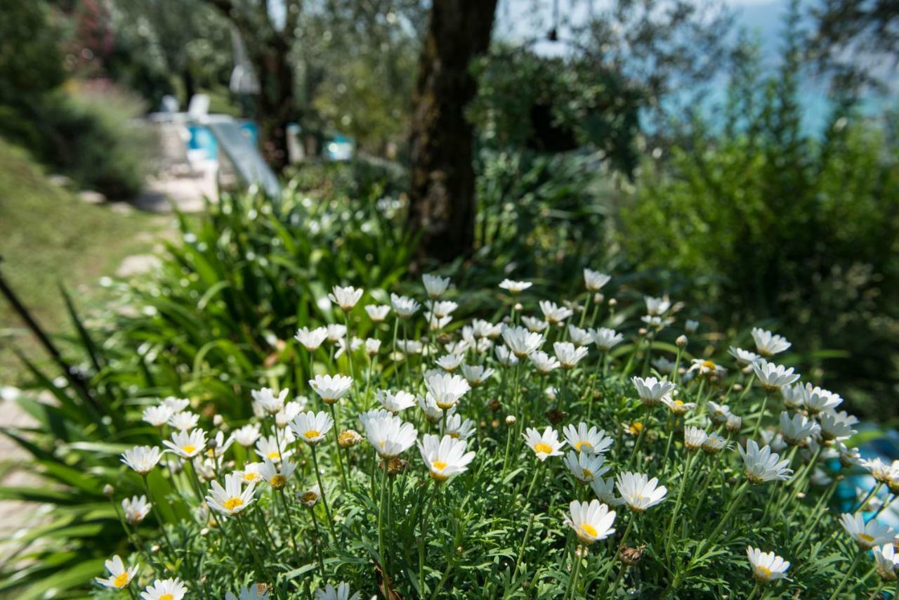 Villa Malcesine Dış mekan fotoğraf